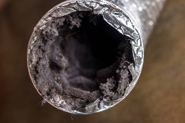 Best Commercial Air Duct Cleaning  in South Whittier, CA